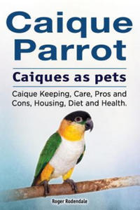 Caique parrot. Caiques as pets. Caique Keeping, Care, Pros and Cons, Housing, Diet and Health. - 2861906121