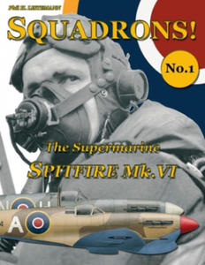 Supermarine Spitfire Mk.VI - 2866867878