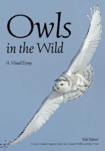 Owls In The Wild - 2874786578