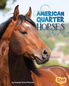 American Quarter Horses - 2873995499