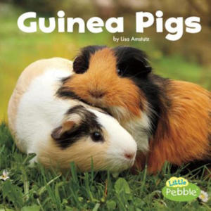 Guinea Pigs - 2874000903