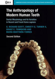 Anthropology of Modern Human Teeth - 2867154705