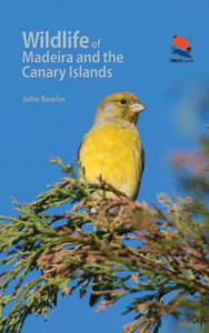 Wildlife of Madeira and the Canary Islands - 2861955158