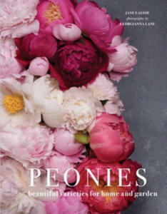 Peonies - 2878616769