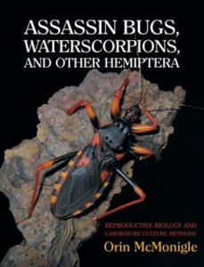 Assassin Bugs, Waterscorpions, and Other Hemiptera - 2866653964