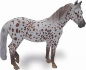 Klacz British Spotted Pony maci kasztan Leopard XL - 2865018956