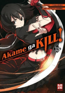 Akame ga KILL! 13 - 2877399430
