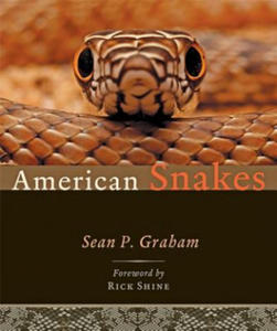 American Snakes - 2867762130