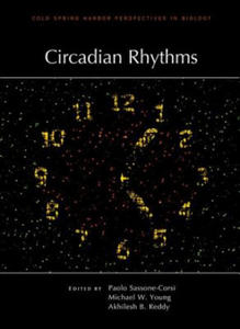 Circadian Rhythms - 2878628682