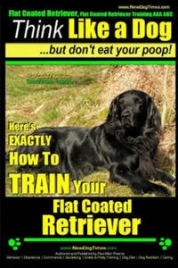 Flat Coated Retriever, Flat Coated Retriever Training AAA AKC - Think Like a Dog But Don't Eat Your Poop! - Flat Coated Retriever Breed Expert Trainin - 2861918174