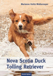 Nova Scotia Duck Tolling Retriever - 2866065451