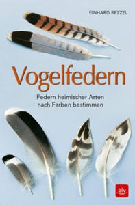 Vogelfedern - 2877761957