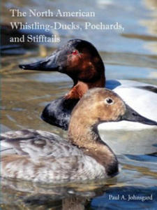 North American Whistling-Ducks, Pochards, and Stifftails - 2877951365