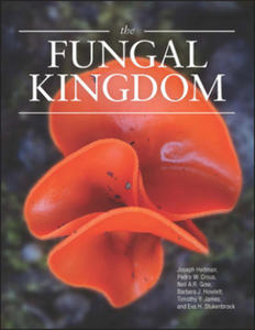 Fungal Kingdom - 2867756053