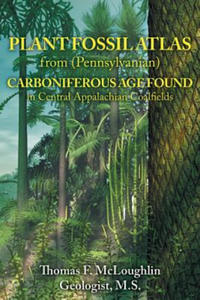 Plant Fossil Atlas from (Pennsylvanian) Carboniferous Age Found in Central Appalachian Coalfields - 2866653893
