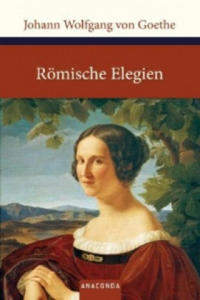 Rmische Elegien und Venezianische Epigramme - 2878881109