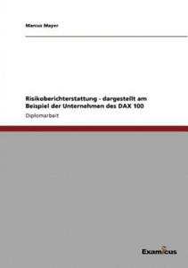 Risikoberichterstattung - dargestellt am Beispiel der Unternehmen des DAX 100 - 2866656443