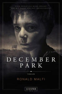 December Park - 2878624728