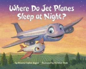 Where Do Jet Planes Sleep at Night? - 2877621541