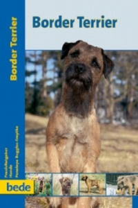 Border Terrier - 2861911205