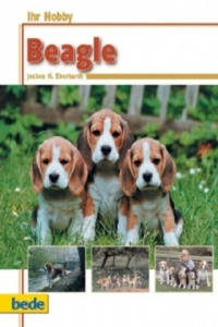 Jochen H. Eberhardt - Beagle - 2856486897