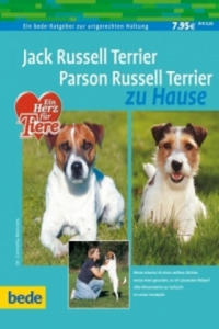 Jack Russell Terrier, Parson Russell Terrier zu Hause - 2851005090