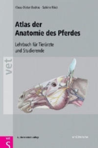 Atlas der Anatomie des Pferdes - 2870499173