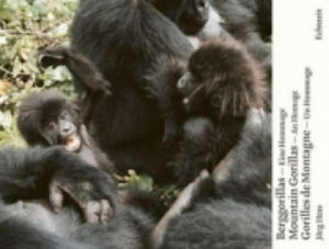 Berggorillas / Gorilles de montagne / Mountain Gorillas - 2877637475