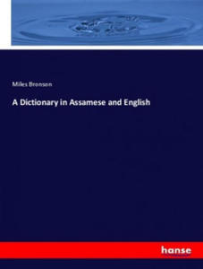 Dictionary in Assamese and English - 2877410002