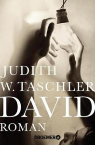 Judith W. Taschler - David - 2878431323