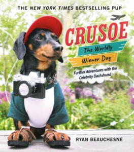 Crusoe, the Worldly Wiener Dog - 2861883957