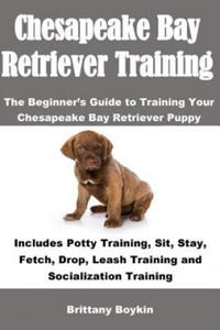 Chesapeake Bay Retriever Training - 2867128138