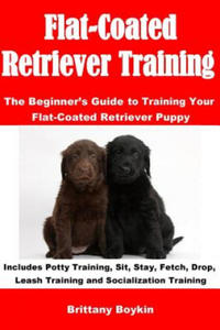 Flat-Coated Retriever Training - 2867138087