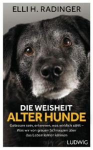 Die Weisheit alter Hunde - 2877487620