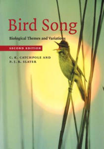 Bird Song - 2871903616