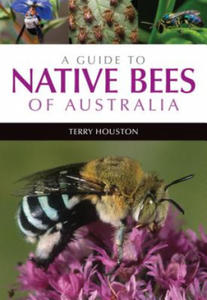 Guide to Native Bees of Australia - 2878779565