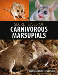 Secret Lives of Carnivorous Marsupials - 2873994629