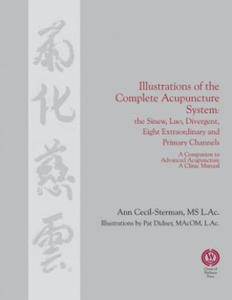 Illustrations of the Complete Acupuncture System - 2866517456