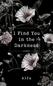 I Find You in the Darkness - 2866526775