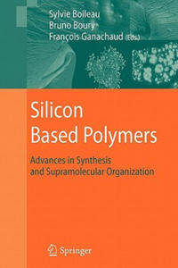 Silicon Based Polymers - 2867178821