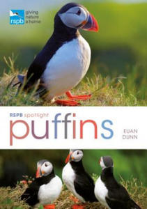 RSPB Spotlight: Puffins - 2878075498