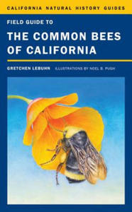 Field Guide to the Common Bees of California - 2861919840