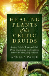 Healing Plants of the Celtic Druids - Ancient Celts in Britain and their Druid healers used plant medicine to treat the mind, body and soul - 2861945591