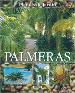 Palmeras, plantas de jardn - 2867905599