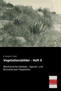 Mexikanische Kakteen-, Agaven- und Bromeliaceen-Vegetation - 2877637442