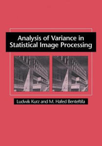 Analysis of Variance in Statistical Image Processing - 2867136451