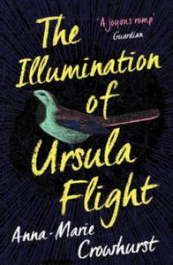 Illumination of Ursula Flight - 2878078820