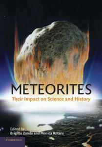 Meteorites - 2878080578