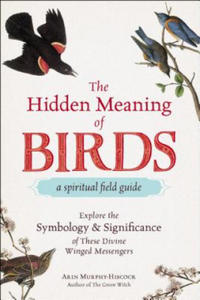 Hidden Meaning of Birds--A Spiritual Field Guide - 2861900255