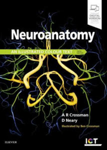 Neuroanatomy: an Illustrated Colour Text - 2863399355